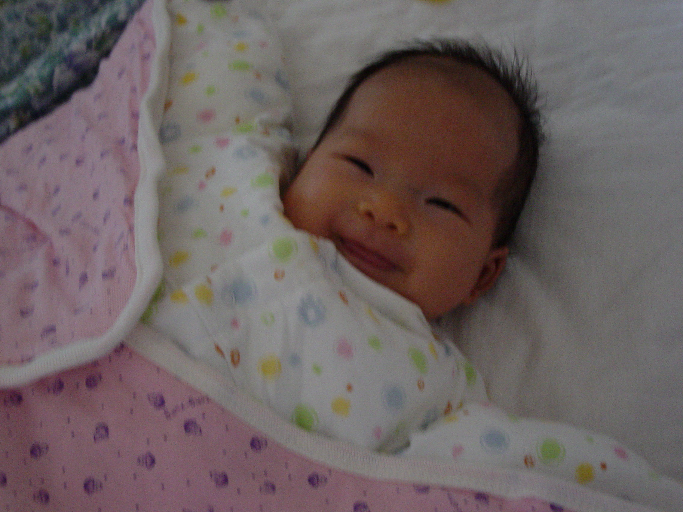 清扬婉兮