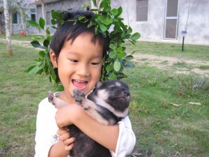 IMG_3529 IMG_3529