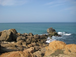 IMG_3603 IMG_3603