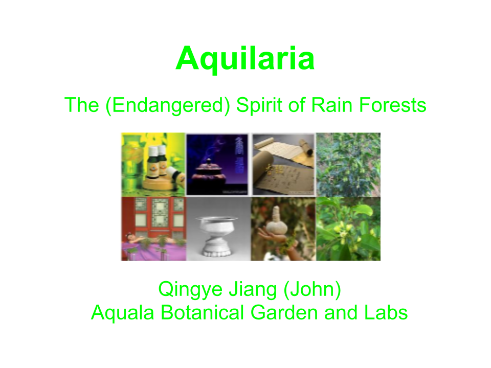 Aquilaria-Introduction-1