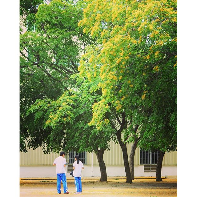 13109079_1737711173160310_1079158975_n