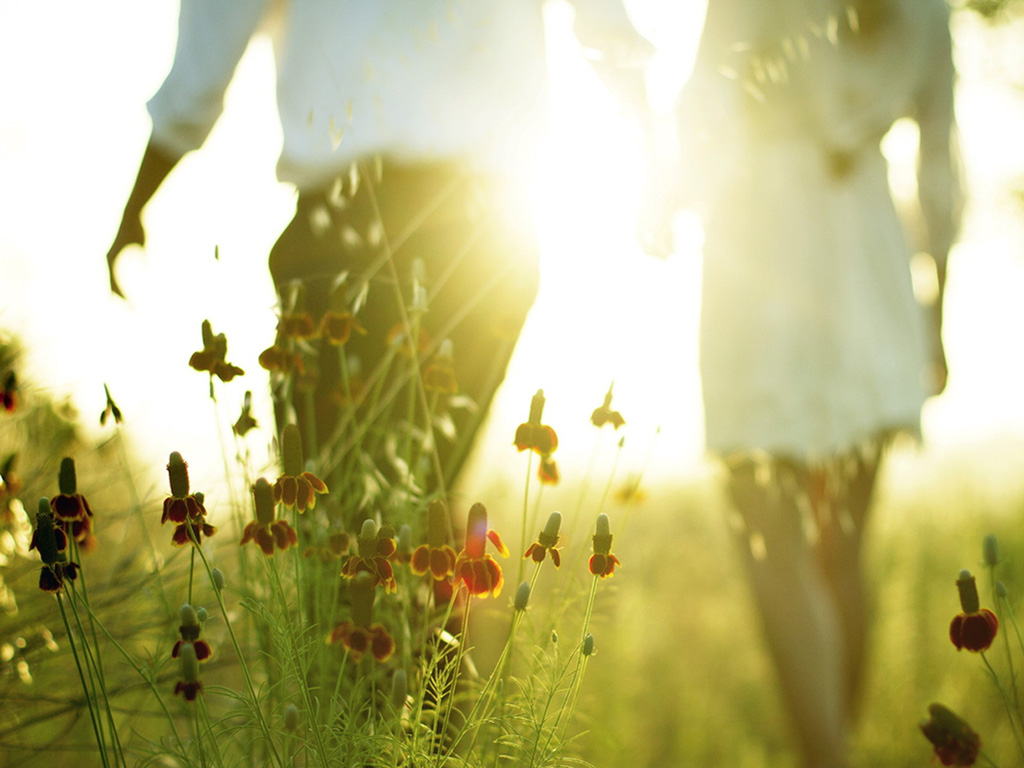 b9e95081be844fec0d6910ec5e555ed2