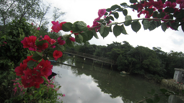 wKgB3FEU74-ASZesAAntXAOa3T060.groupinfo.w600